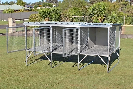 3-Bay Raised Dog Kennel