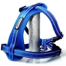 Reflective Neoprene Dog Harness - Large