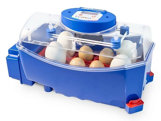 Borotto Chicken Poultry Duck Quail Egg Incubator Lumia 8 Automatic