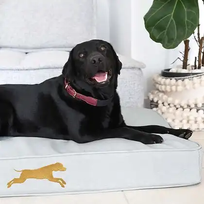 Orthopaedic Memory Foam Dog & Pet Bed - Large