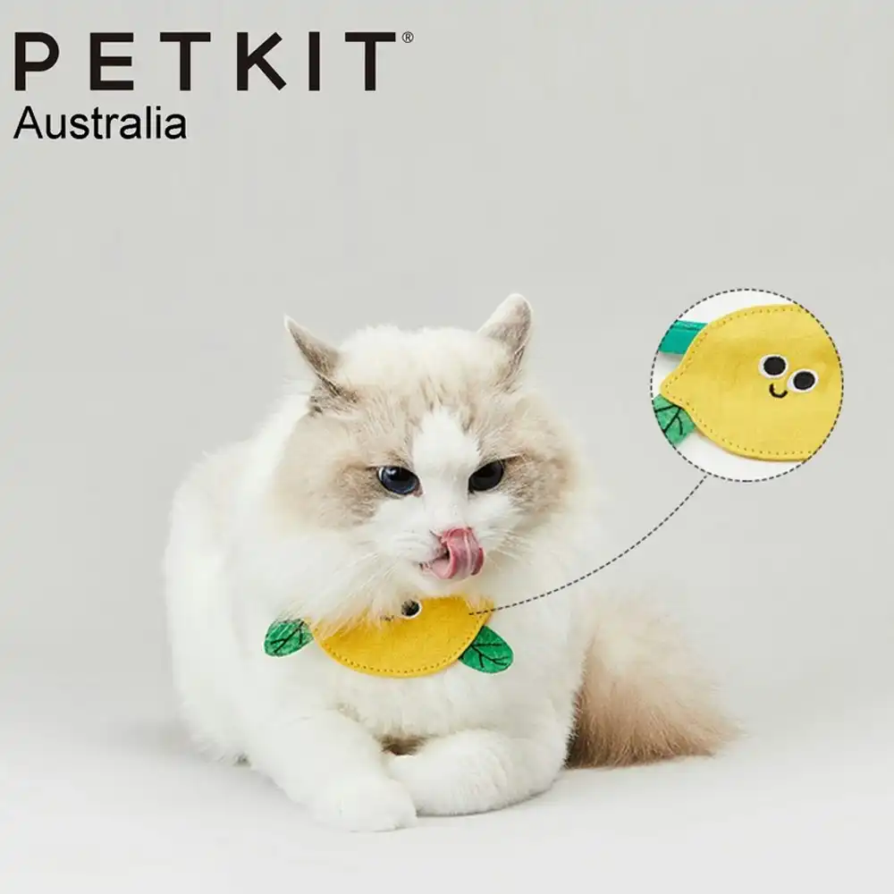Petkit Adjustable Pet Saliva Towel/Bib Collar Party Cute Accessory Red Persimmon