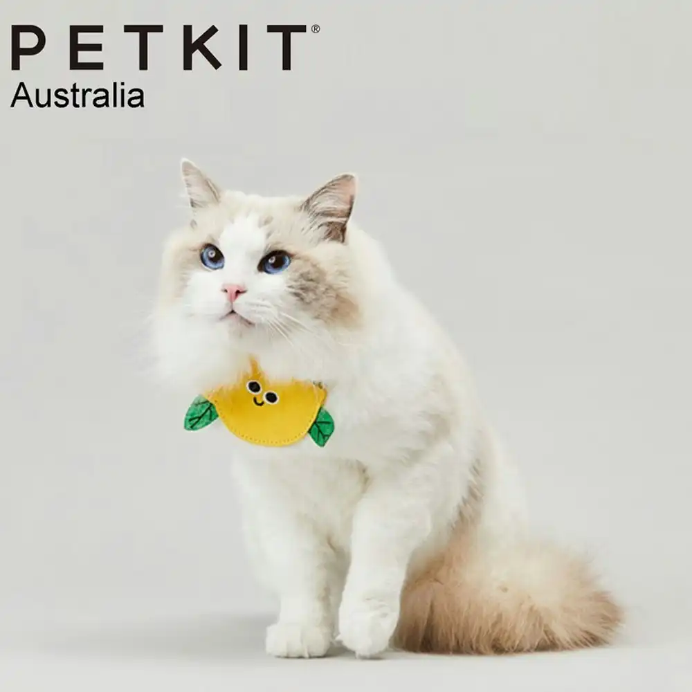 Petkit Adjustable Pet Saliva Towel/Bib Collar Party Cute Accessory Red Persimmon