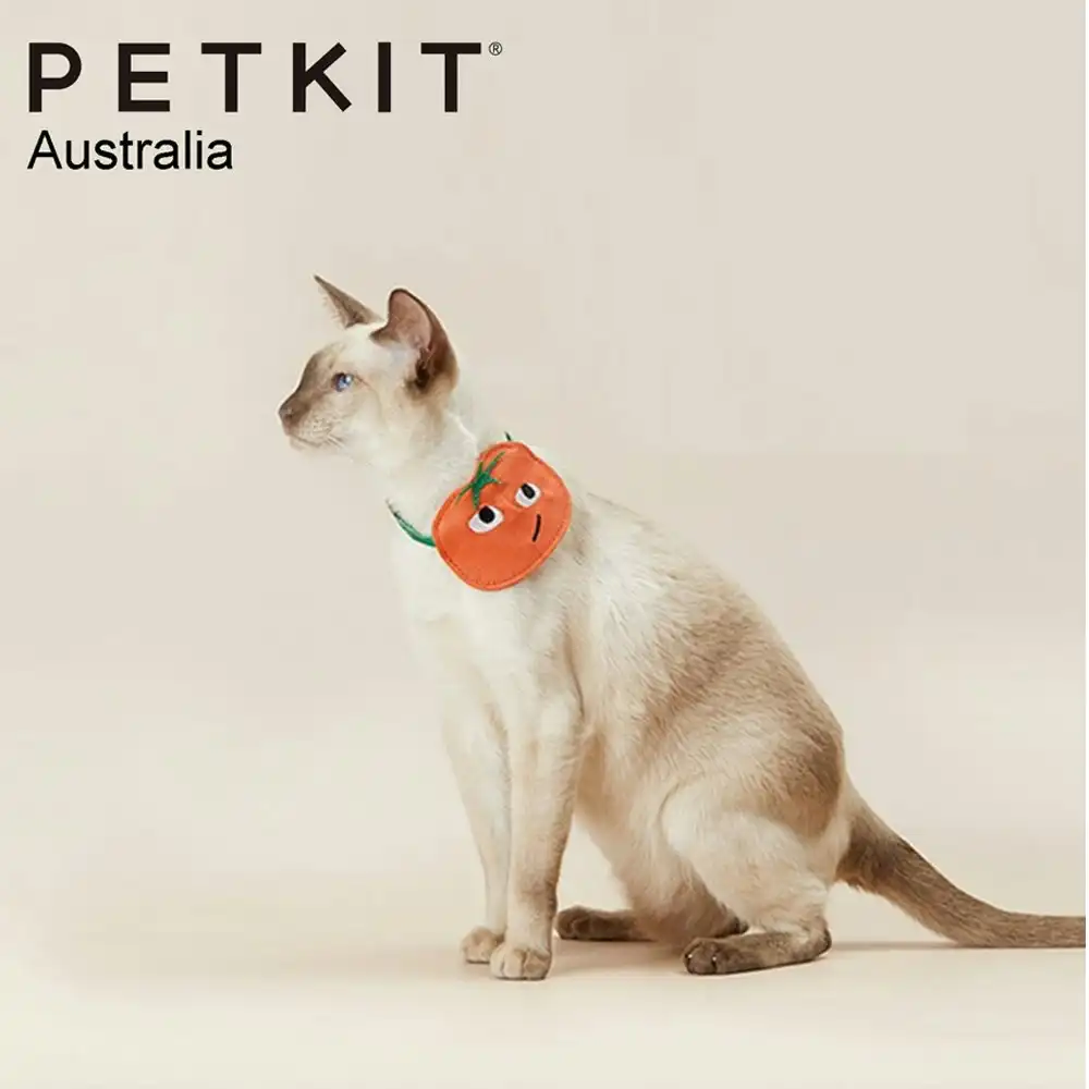 Petkit 13cm Adjustable Pet Saliva Towel/Bib Collar Wedding/Party Accessory Lemon