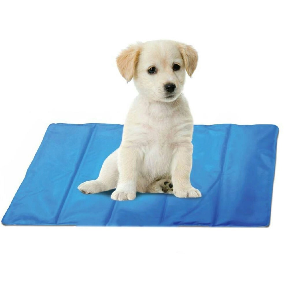 Spatastic 60x40cm Pet/Dog/Cat Cooling Mat Indoor/Outdoor Non Toxic Blue