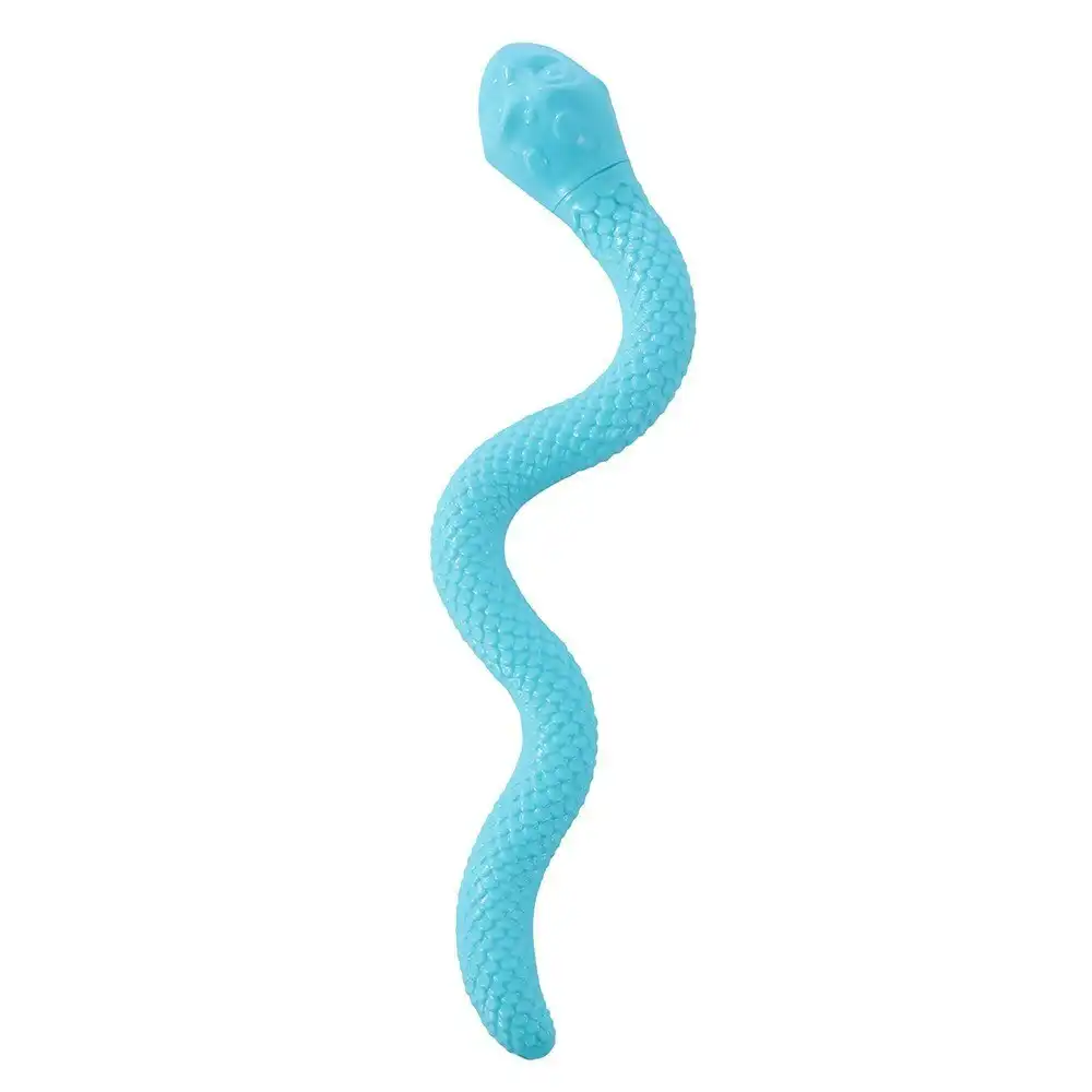Paws & Claws 41cm Vinyl Flexi-Snake Animal Play Fun Toy For Dog/Pet Assorted