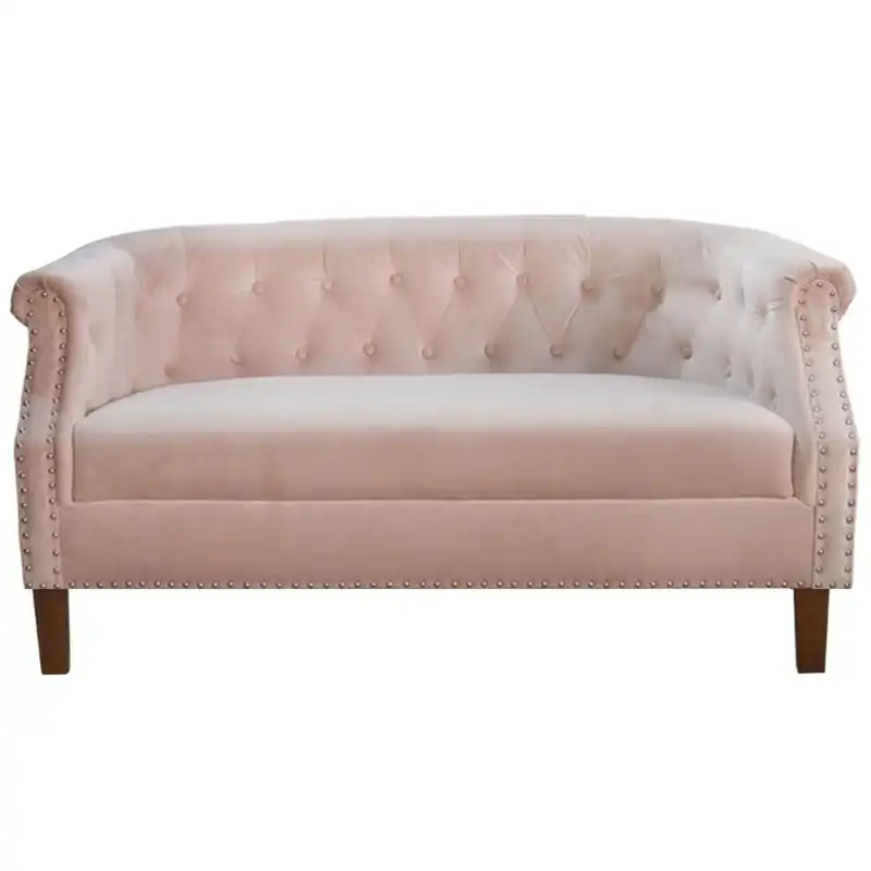 Designer Modern Velvet Fabric Loveseat 2-Seater Lounge Couch Sofa - Pink