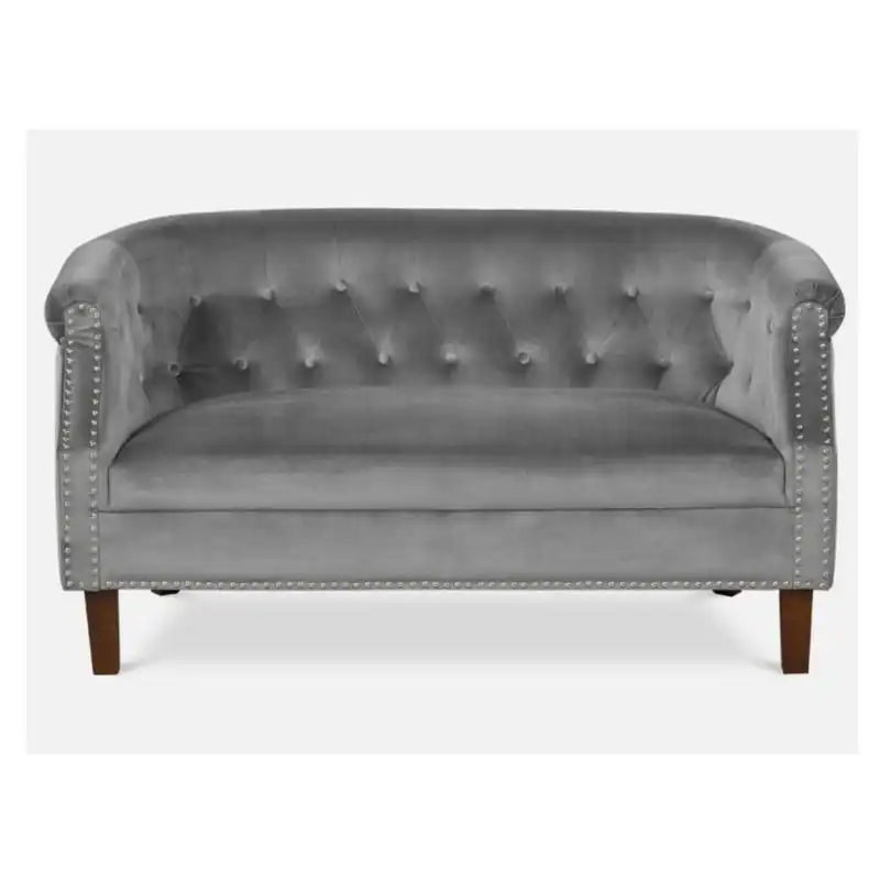 Design Square Designer Modern Velvet Fabric Loveseat 2-Seater Lounge Couch Sofa - Grey