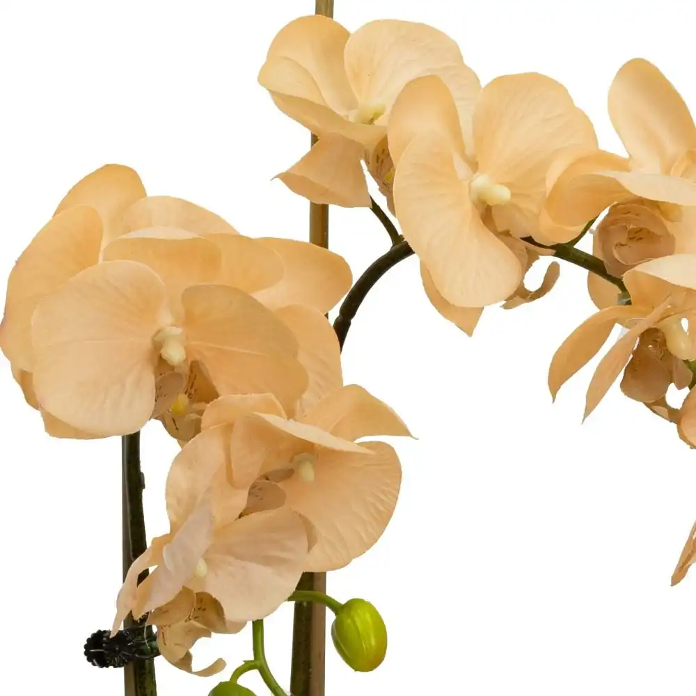 Glamorous Fusion Apricot Orchid Artificial Fake Plant Decorative Arrangement 45cm In Cylinder Glass
