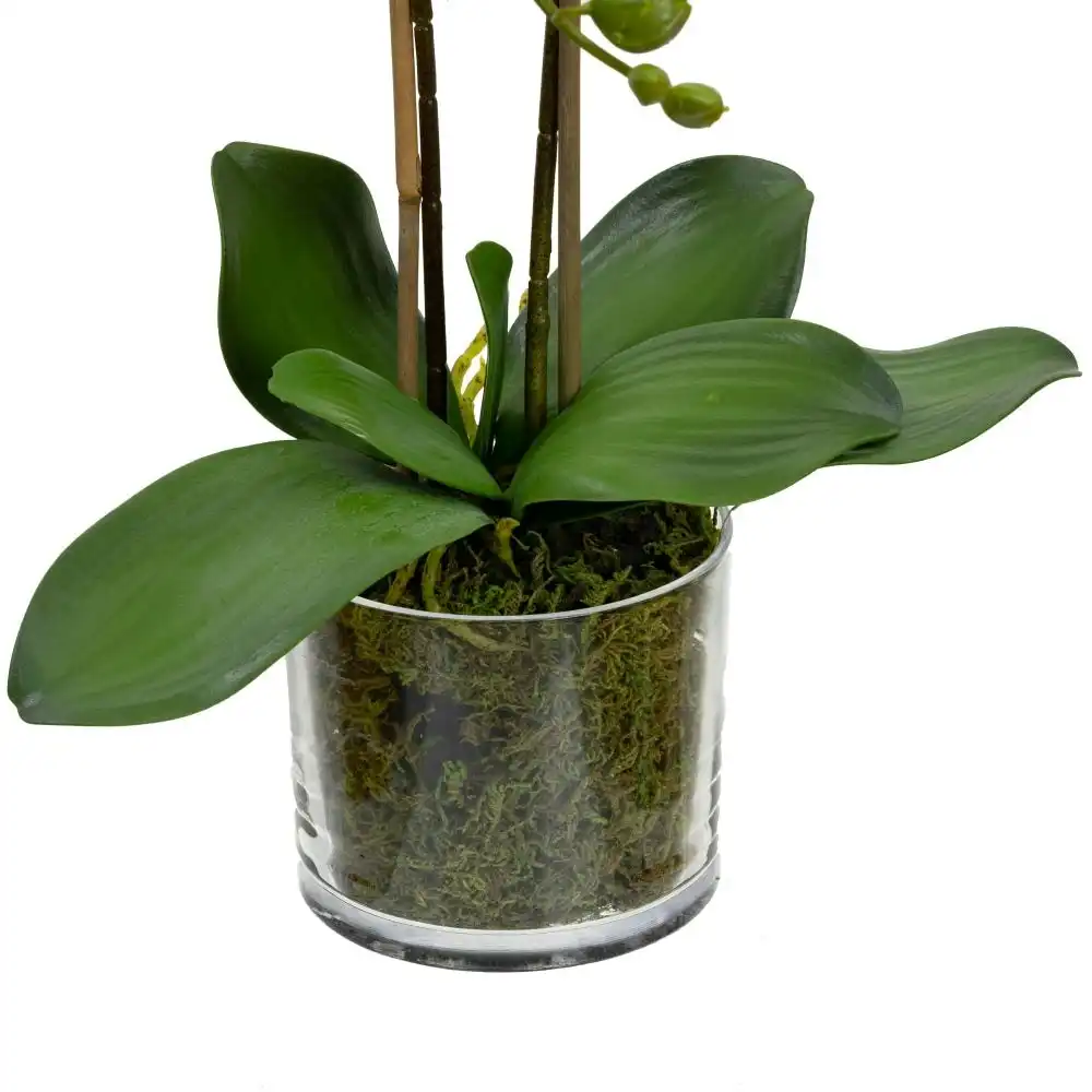 Glamorous Fusion Peach Orchid Artificial Fake Plant Decorative Arrangement 45cm In Cylinder Glass
