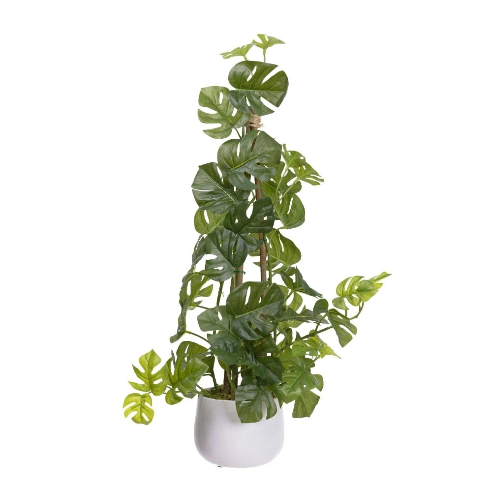 Glamorous Fusion Climbing Sellum Philo Artificial Fake Plant Decorative 62cm In Pot