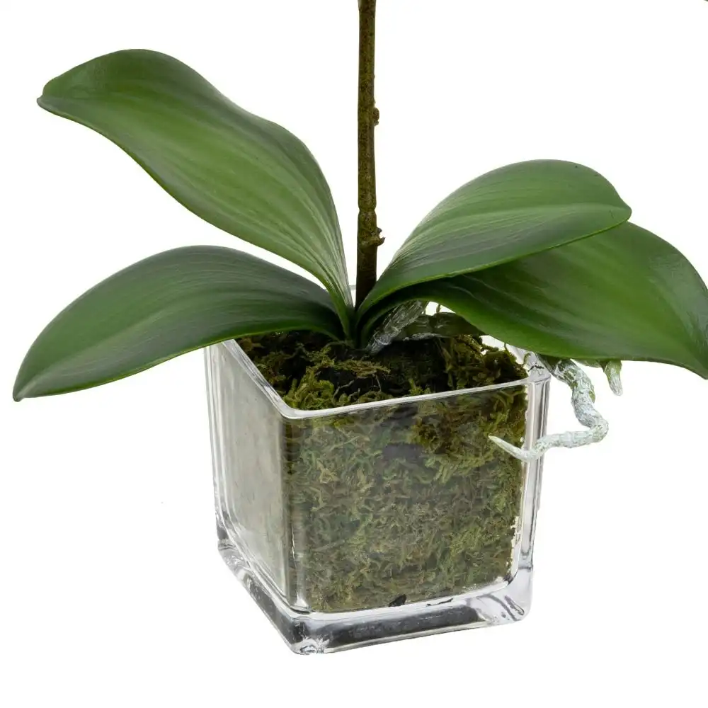 Glamorous Fusion Light Mauve Orchid Artificial Fake Plant Decorative Arrangement 32cm In Square Glass
