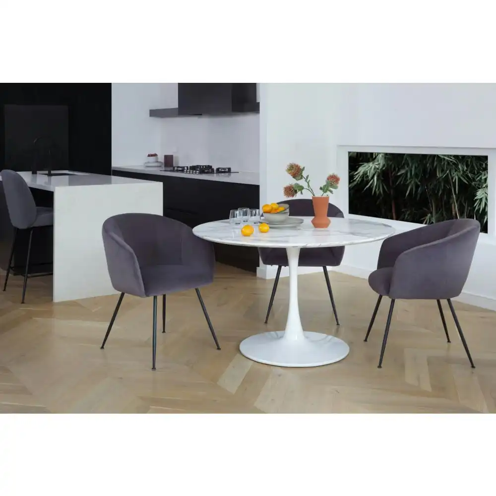 Raimon Furniture Set of 2 Finale Velvet Fabric Dining Chair - Black Metal Legs - Steel