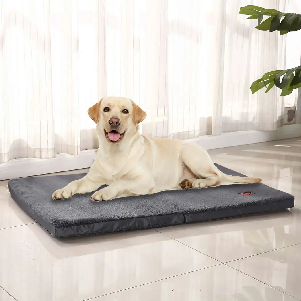 Pawz Pet Bed Foldable Dog Puppy Beds Cushion Pad Pads Soft Plush Cat Pillow M