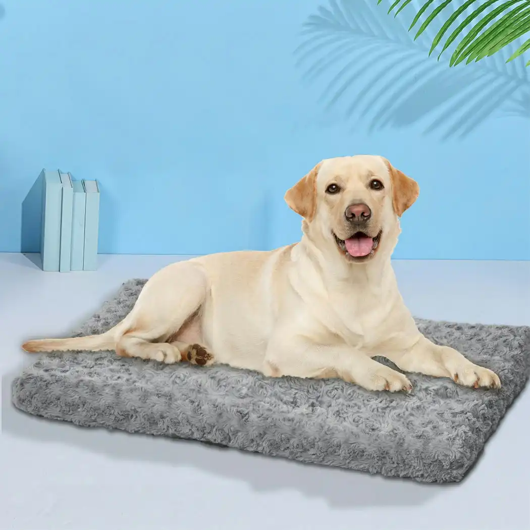 Pawz Pet Bed Dog Beds Bedding Soft Warm Mattress Cushion Pillow Mat Velvet L