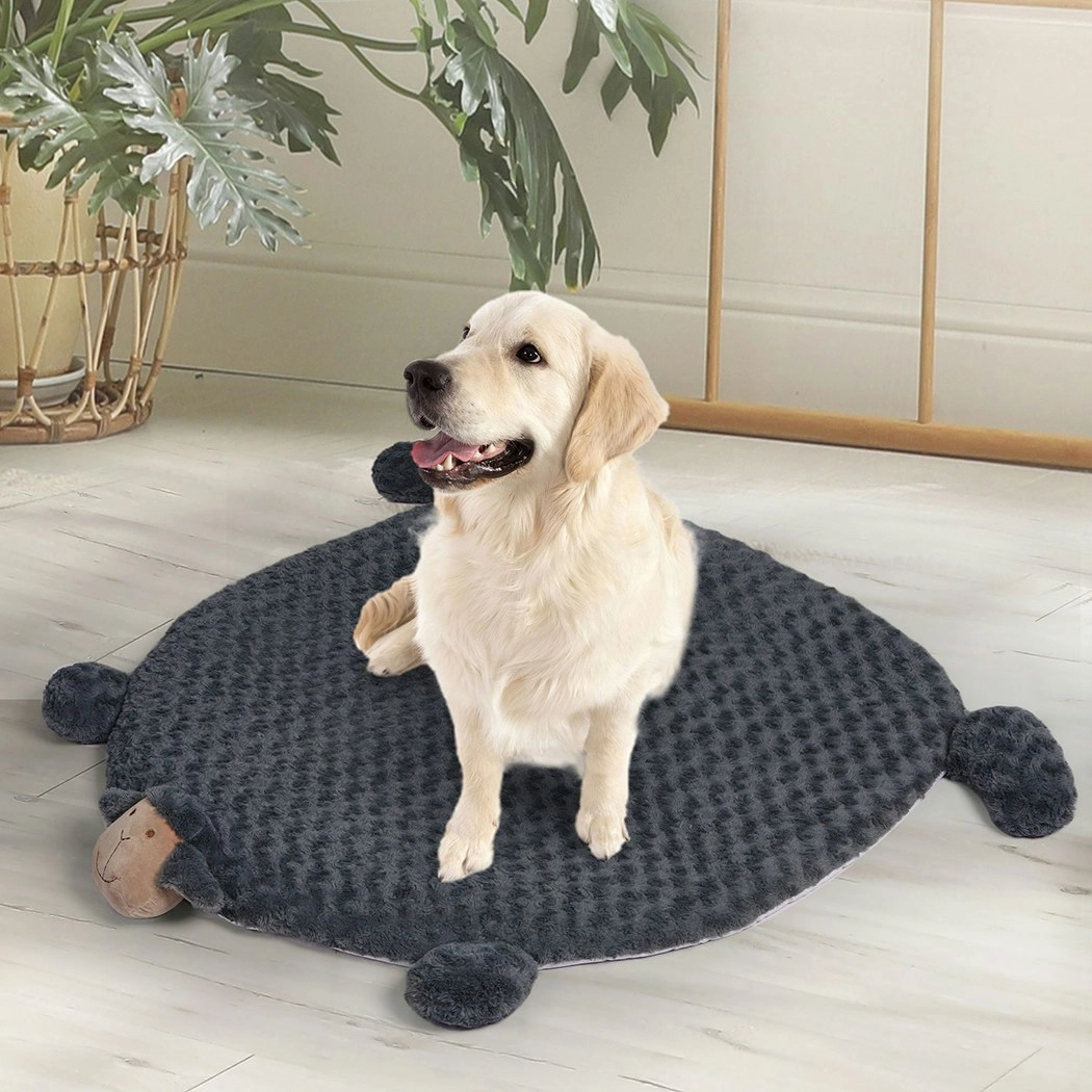 Pawz Pet Bed Cat Calming Bed Dog Squeaky Toy Cushion Puppy Memory Foam Mat M