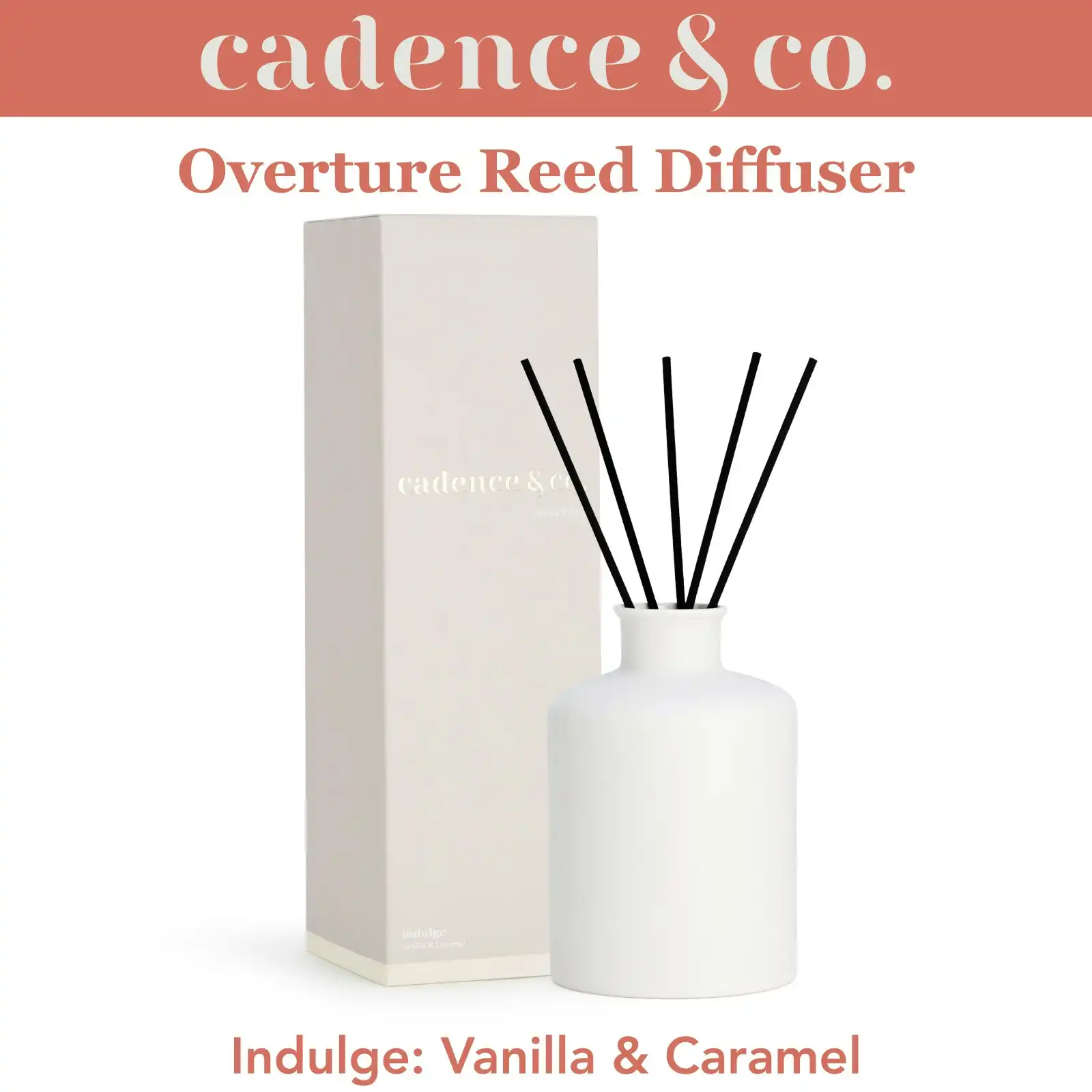 Cadence & Co Overture Reed Diffuser Indulge: Vanilla & Caramel Natural Room Freshener w/ Essential Oils