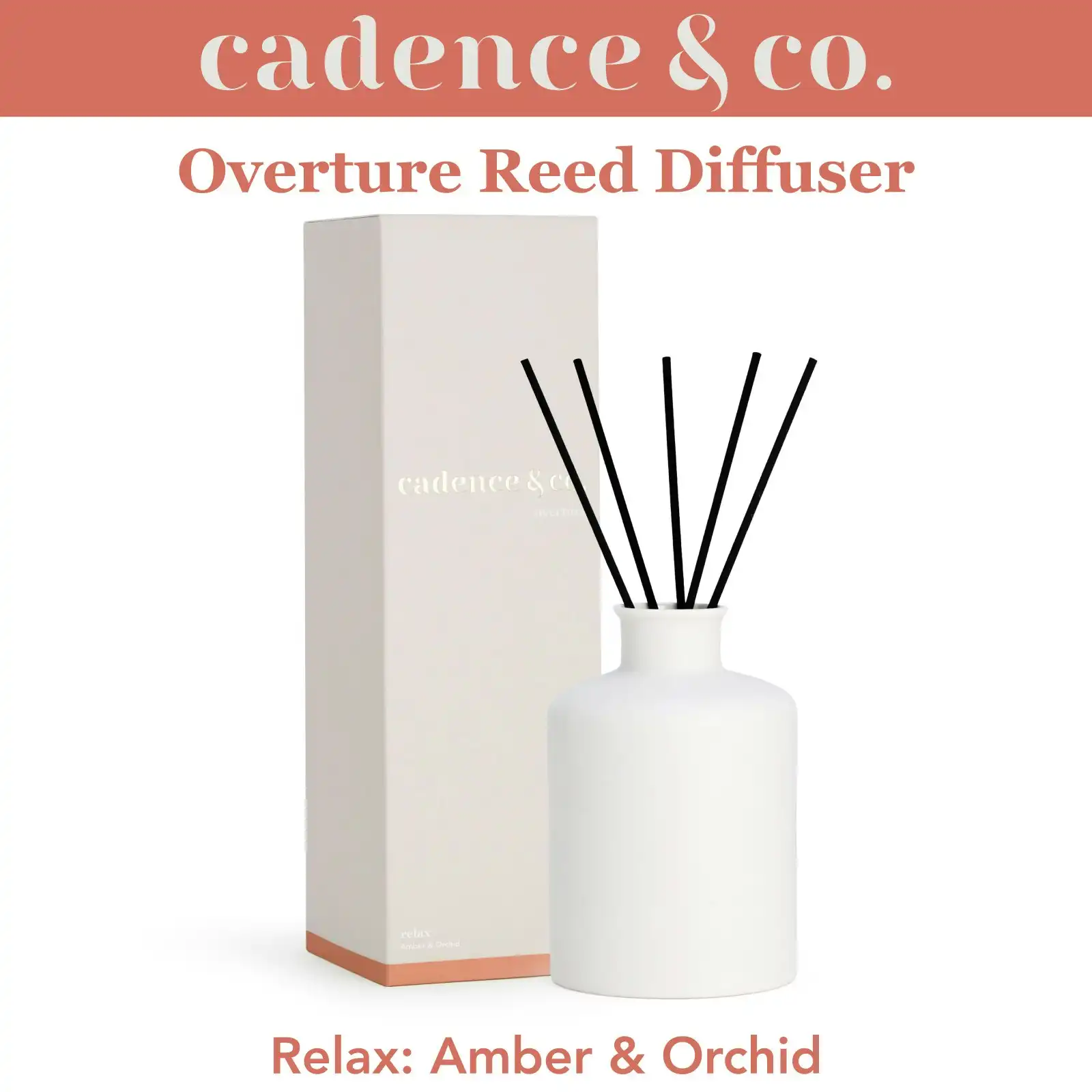 Cadence & Co Overture Reed Diffuser Relax: Amber & Orchid Natural Room Freshener w/ Essential Oils