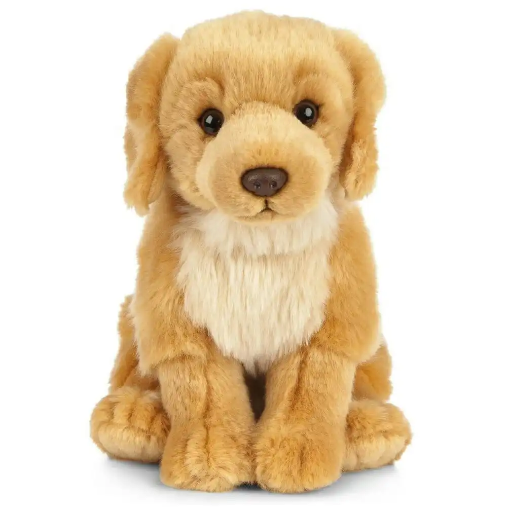 Living Nature Golden Retriever 20cm  Plush Soft Toy Animal Dog Baby/Infant/0m+