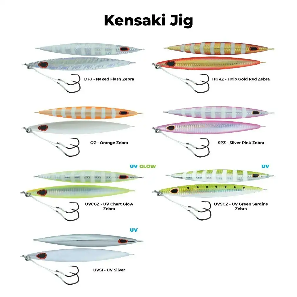 80gm Storm Gomoku Kensaki Asymmetrical Slow Pitched Jig